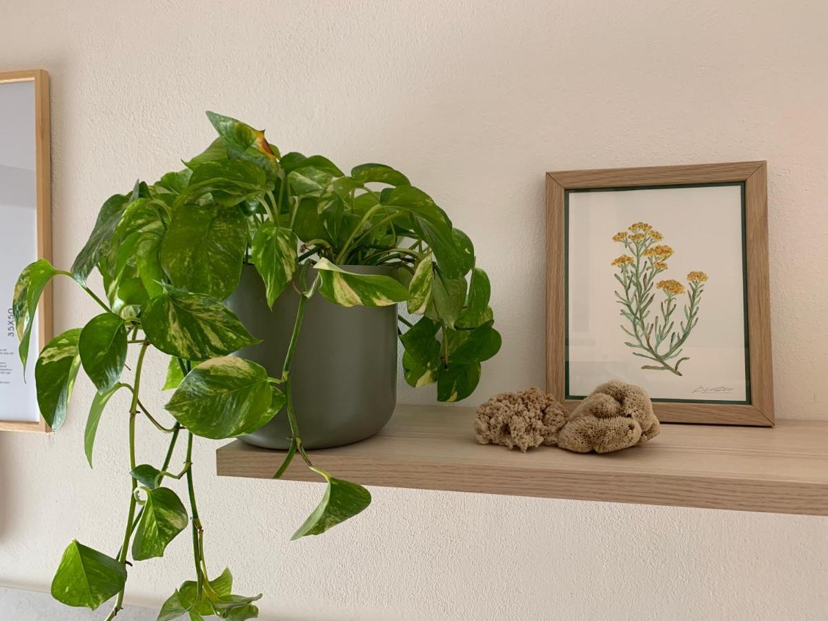 Elicriso Home Porto Torres Ngoại thất bức ảnh