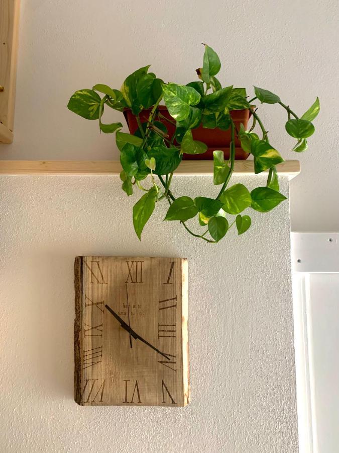 Elicriso Home Porto Torres Ngoại thất bức ảnh